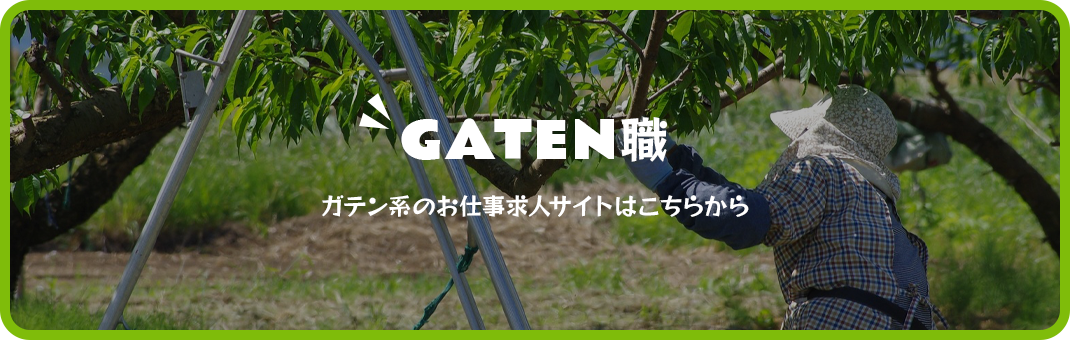 bnr_gaten