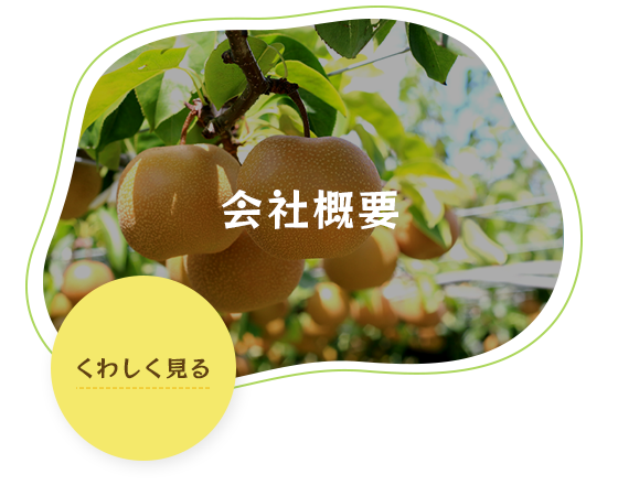 bnrhalf_company_off