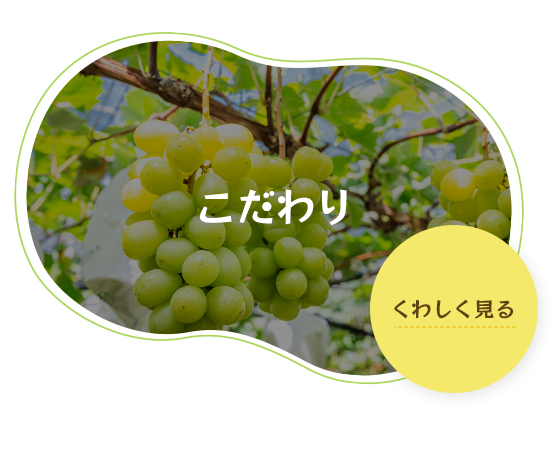 bnrhalf_philosophy_off